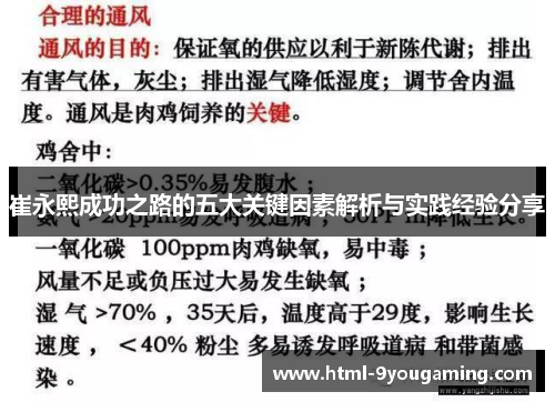 崔永熙成功之路的五大关键因素解析与实践经验分享