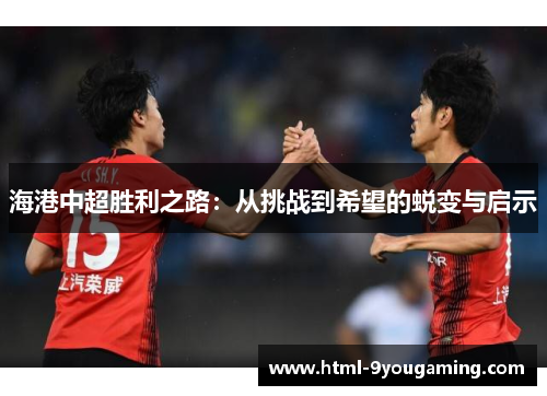 海港中超胜利之路：从挑战到希望的蜕变与启示