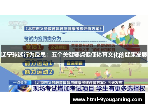 辽宁球迷行为反思：五个关键要点促使体育文化的健康发展