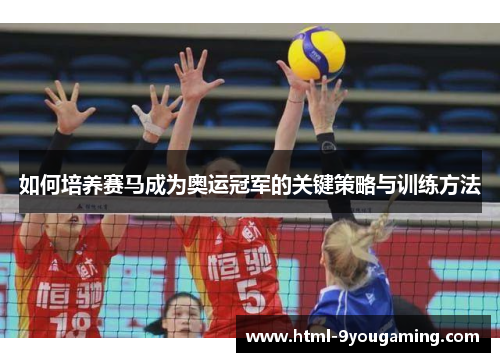 如何培养赛马成为奥运冠军的关键策略与训练方法