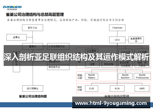 深入剖析亚足联组织结构及其运作模式解析