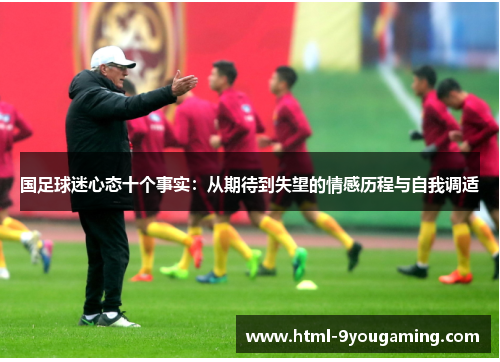 国足球迷心态十个事实：从期待到失望的情感历程与自我调适