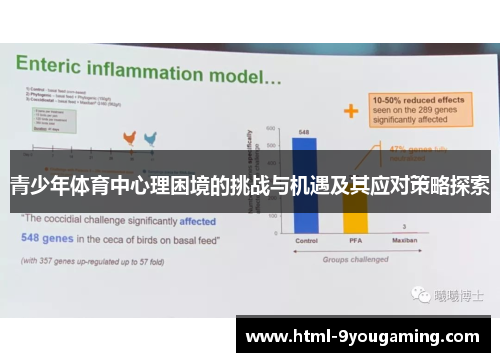青少年体育中心理困境的挑战与机遇及其应对策略探索