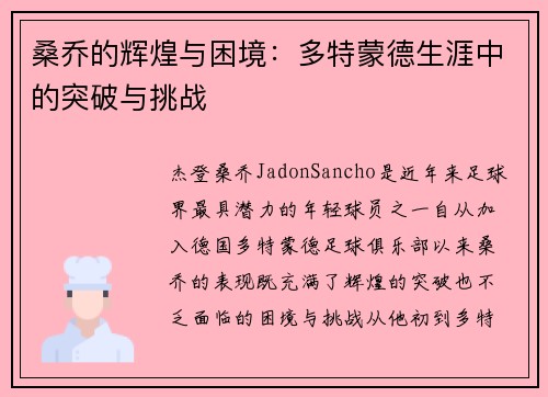 桑乔的辉煌与困境：多特蒙德生涯中的突破与挑战
