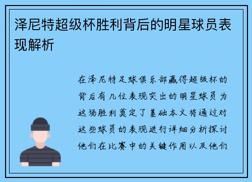 泽尼特超级杯胜利背后的明星球员表现解析 泽尼特超级杯胜利背后的明星球员表现解析